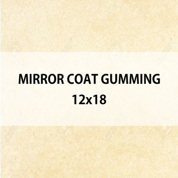 digital-mirror-coat-sticker